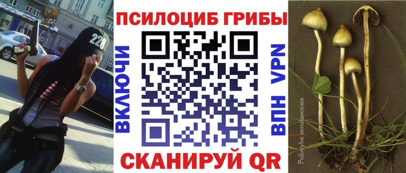 Галлюциногенные грибы ЛСД  Кукмор 